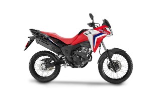 1Rally